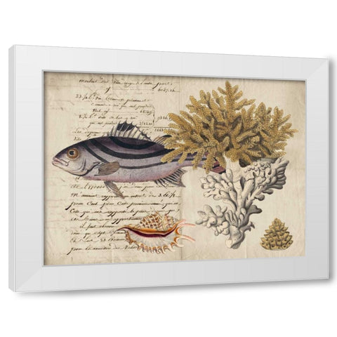 Sealife Journal III White Modern Wood Framed Art Print by Vision Studio