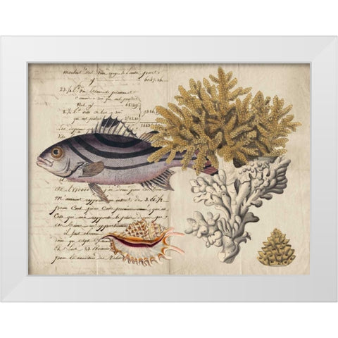 Sealife Journal III White Modern Wood Framed Art Print by Vision Studio