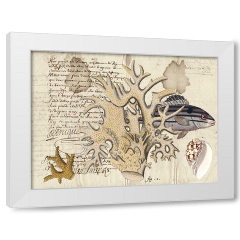 Sealife Journal IV White Modern Wood Framed Art Print by Vision Studio