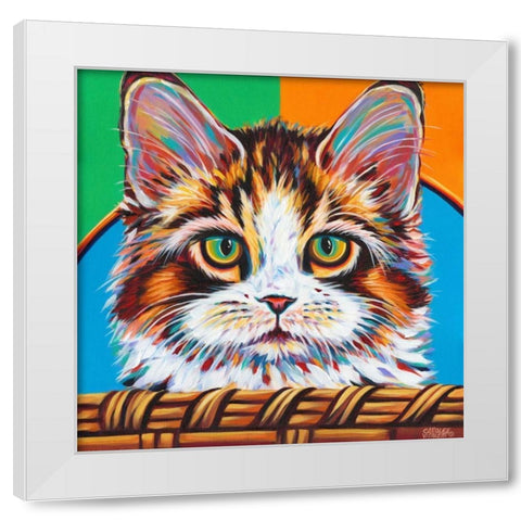 Kitten in Basket II White Modern Wood Framed Art Print by Vitaletti, Carolee