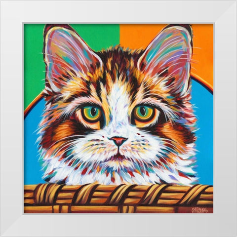 Kitten in Basket II White Modern Wood Framed Art Print by Vitaletti, Carolee