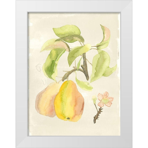Custom Watercolor Fruit III (ASH) White Modern Wood Framed Art Print by McCavitt, Naomi