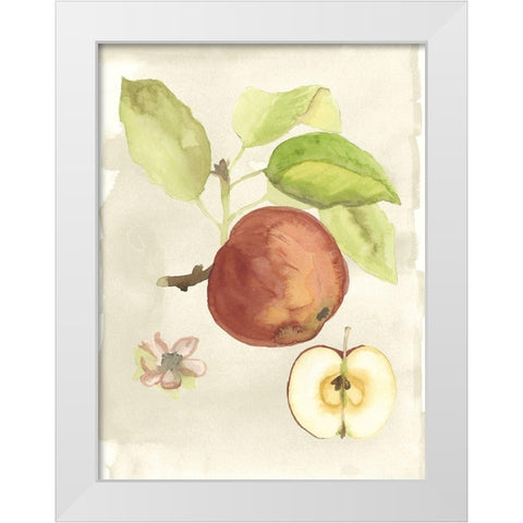 Custom Watercolor Fruit IV (ASH) White Modern Wood Framed Art Print by McCavitt, Naomi