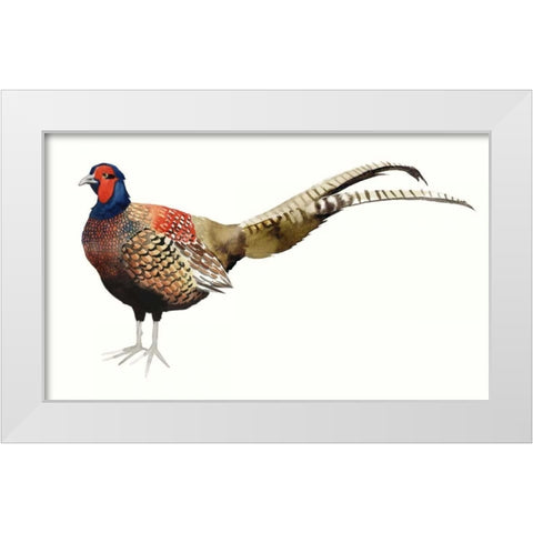 Watercolor Pheasant II White Modern Wood Framed Art Print by Popp, Grace