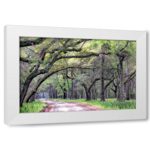 Dirt Road I White Modern Wood Framed Art Print by Head, Danny