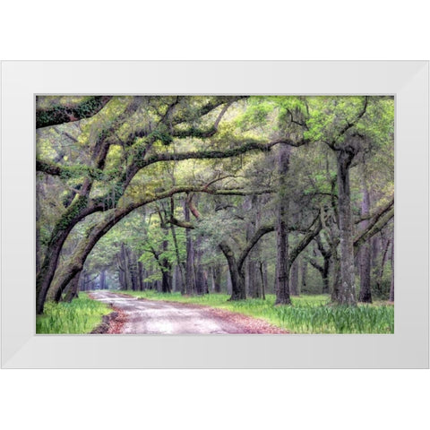 Dirt Road I White Modern Wood Framed Art Print by Head, Danny