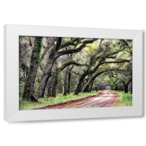 Dirt Road II White Modern Wood Framed Art Print by Head, Danny