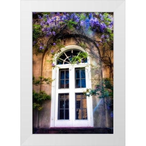 Wisteria White Modern Wood Framed Art Print by Head, Danny