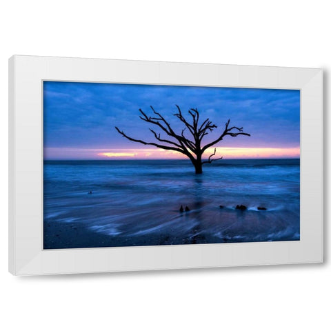 All that Remains White Modern Wood Framed Art Print by Head, Danny