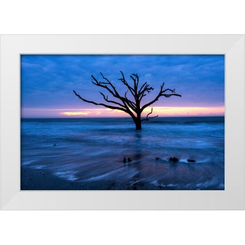 All that Remains White Modern Wood Framed Art Print by Head, Danny
