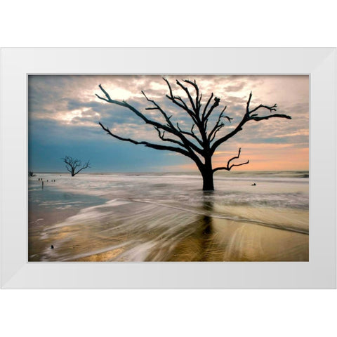 Hangin On White Modern Wood Framed Art Print by Head, Danny