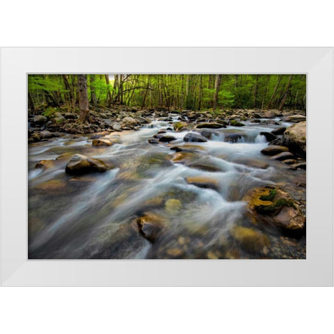 Golden Flow White Modern Wood Framed Art Print by Head, Danny