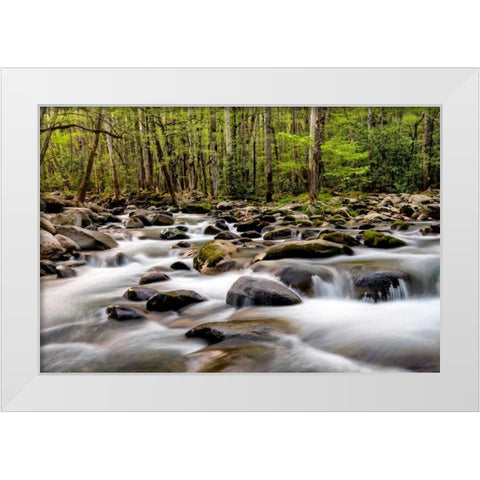 Rocky Flow White Modern Wood Framed Art Print by Head, Danny