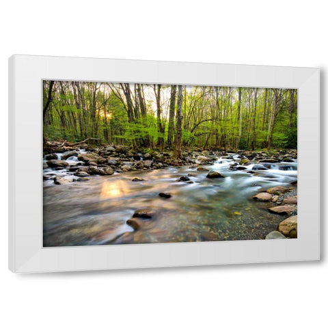 Morning Sunshine II White Modern Wood Framed Art Print by Head, Danny