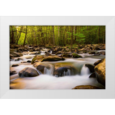 Warm Morning Light White Modern Wood Framed Art Print by Head, Danny