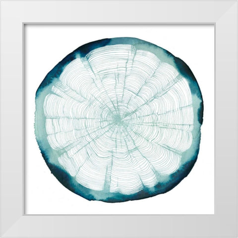 Tree Ring Overlay II White Modern Wood Framed Art Print by Popp, Grace
