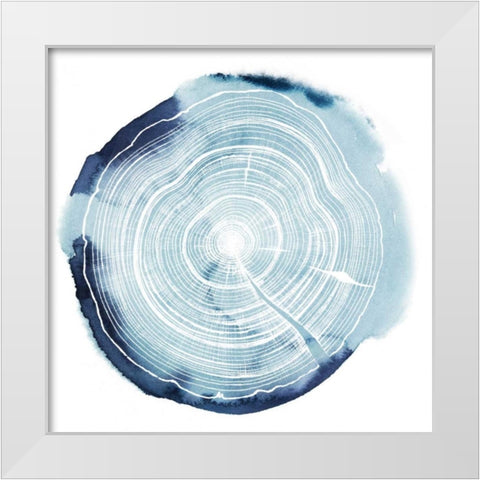 Tree Ring Overlay III White Modern Wood Framed Art Print by Popp, Grace