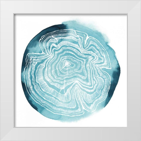 Tree Ring Overlay IV White Modern Wood Framed Art Print by Popp, Grace