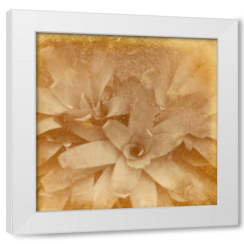 Halia Aloha I White Modern Wood Framed Art Print by Johnson, Jason