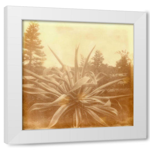 Halia Aloha IX White Modern Wood Framed Art Print by Johnson, Jason