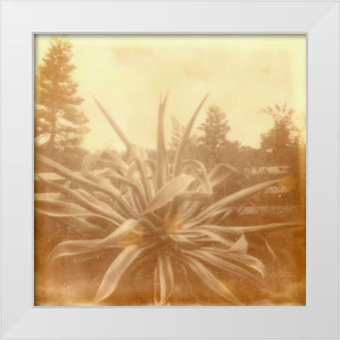 Halia Aloha IX White Modern Wood Framed Art Print by Johnson, Jason