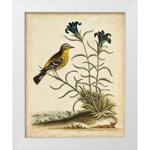 UA CH Natural Habitat III White Modern Wood Framed Art Print by Edwards, George