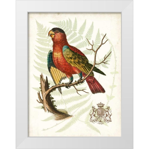 Regal Parrots II White Modern Wood Framed Art Print by Vision Studio