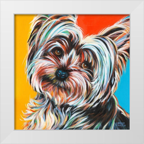Sweet Yorkie II White Modern Wood Framed Art Print by Vitaletti, Carolee