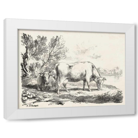 Rural Charms III White Modern Wood Framed Art Print by Unknown