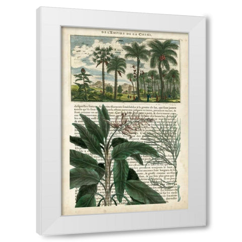 Journal of the Tropics I White Modern Wood Framed Art Print by Vision Studio