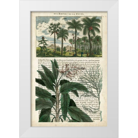Journal of the Tropics I White Modern Wood Framed Art Print by Vision Studio