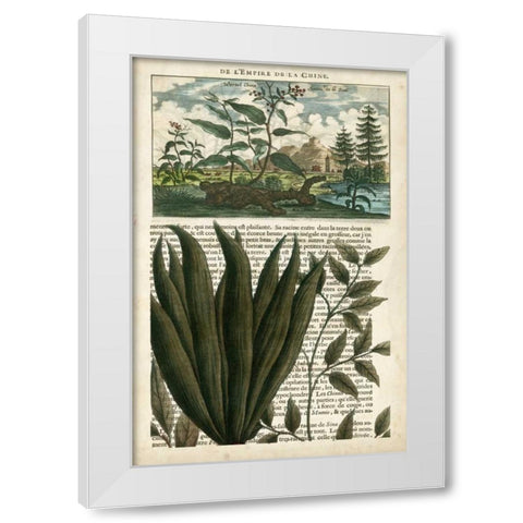 Journal of the Tropics III White Modern Wood Framed Art Print by Vision Studio