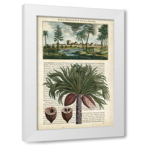 Journal of the Tropics IV White Modern Wood Framed Art Print by Vision Studio