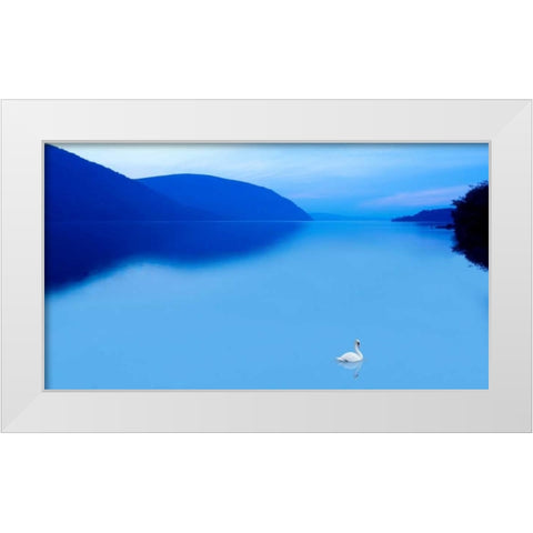 Scene on the Water IV White Modern Wood Framed Art Print by McLoughlin, James