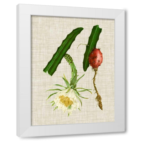 Elegant Tropicals II White Modern Wood Framed Art Print by Vision Studio