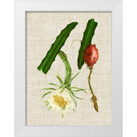 Elegant Tropicals II White Modern Wood Framed Art Print by Vision Studio