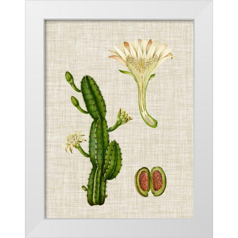 Elegant Tropicals III White Modern Wood Framed Art Print by Vision Studio