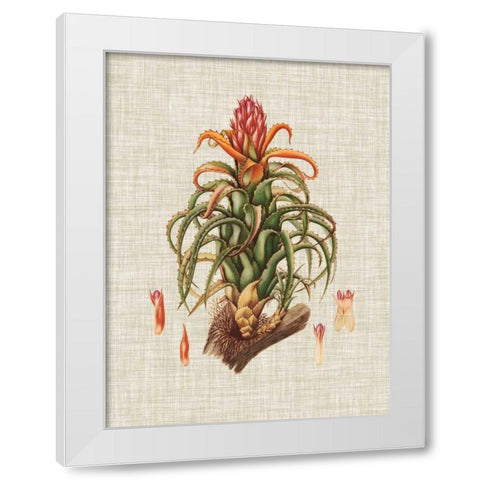 Elegant Tropicals IV White Modern Wood Framed Art Print by Vision Studio