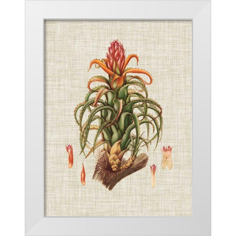 Elegant Tropicals IV White Modern Wood Framed Art Print by Vision Studio