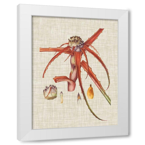 Elegant Tropicals VI White Modern Wood Framed Art Print by Vision Studio