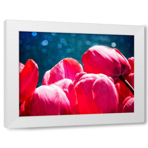 Fuchsia Tulips III White Modern Wood Framed Art Print by Perry, Rachel
