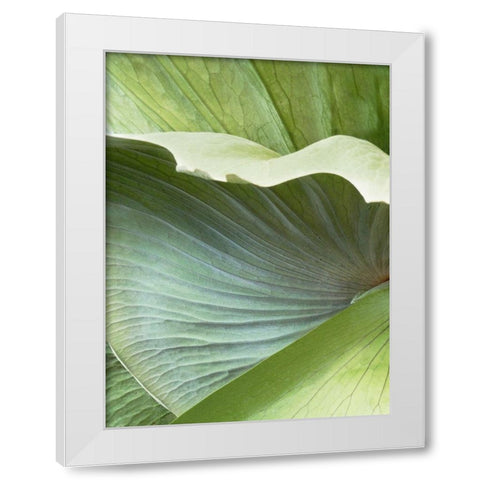 Banana Leaf I White Modern Wood Framed Art Print by Jerry, Alison