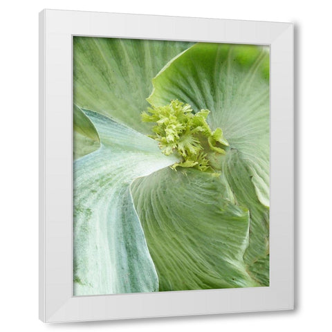 Banana Leaf II White Modern Wood Framed Art Print by Jerry, Alison