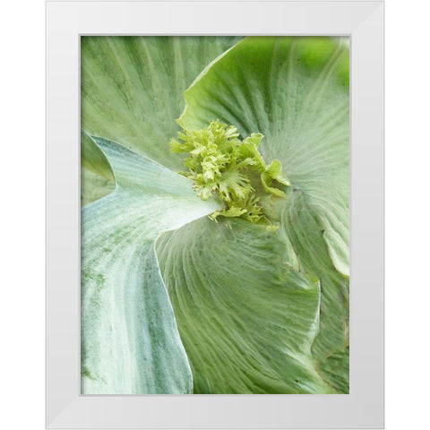 Banana Leaf II White Modern Wood Framed Art Print by Jerry, Alison