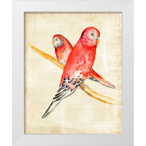 Fanciful Birds I White Modern Wood Framed Art Print by Zarris, Chariklia