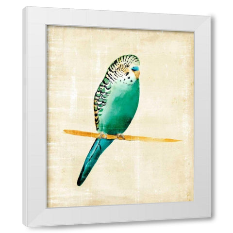 Fanciful Birds II White Modern Wood Framed Art Print by Zarris, Chariklia