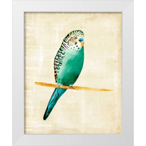 Fanciful Birds II White Modern Wood Framed Art Print by Zarris, Chariklia