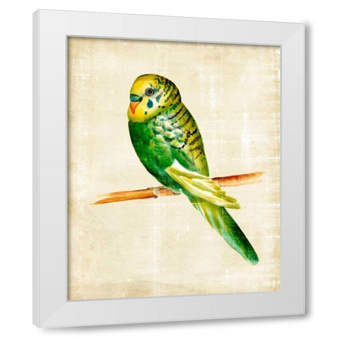 Fanciful Birds III White Modern Wood Framed Art Print by Zarris, Chariklia