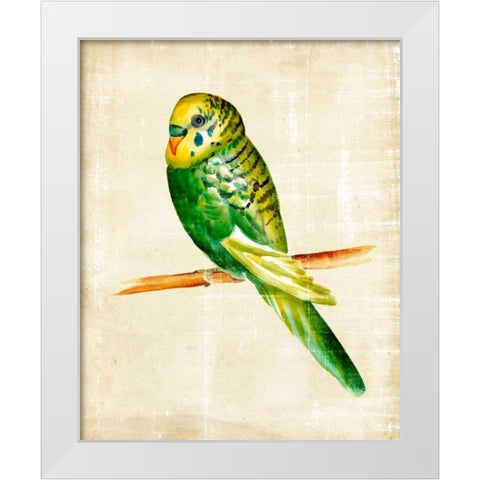 Fanciful Birds III White Modern Wood Framed Art Print by Zarris, Chariklia