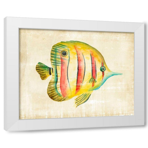 Aquarium Fish III White Modern Wood Framed Art Print by Zarris, Chariklia